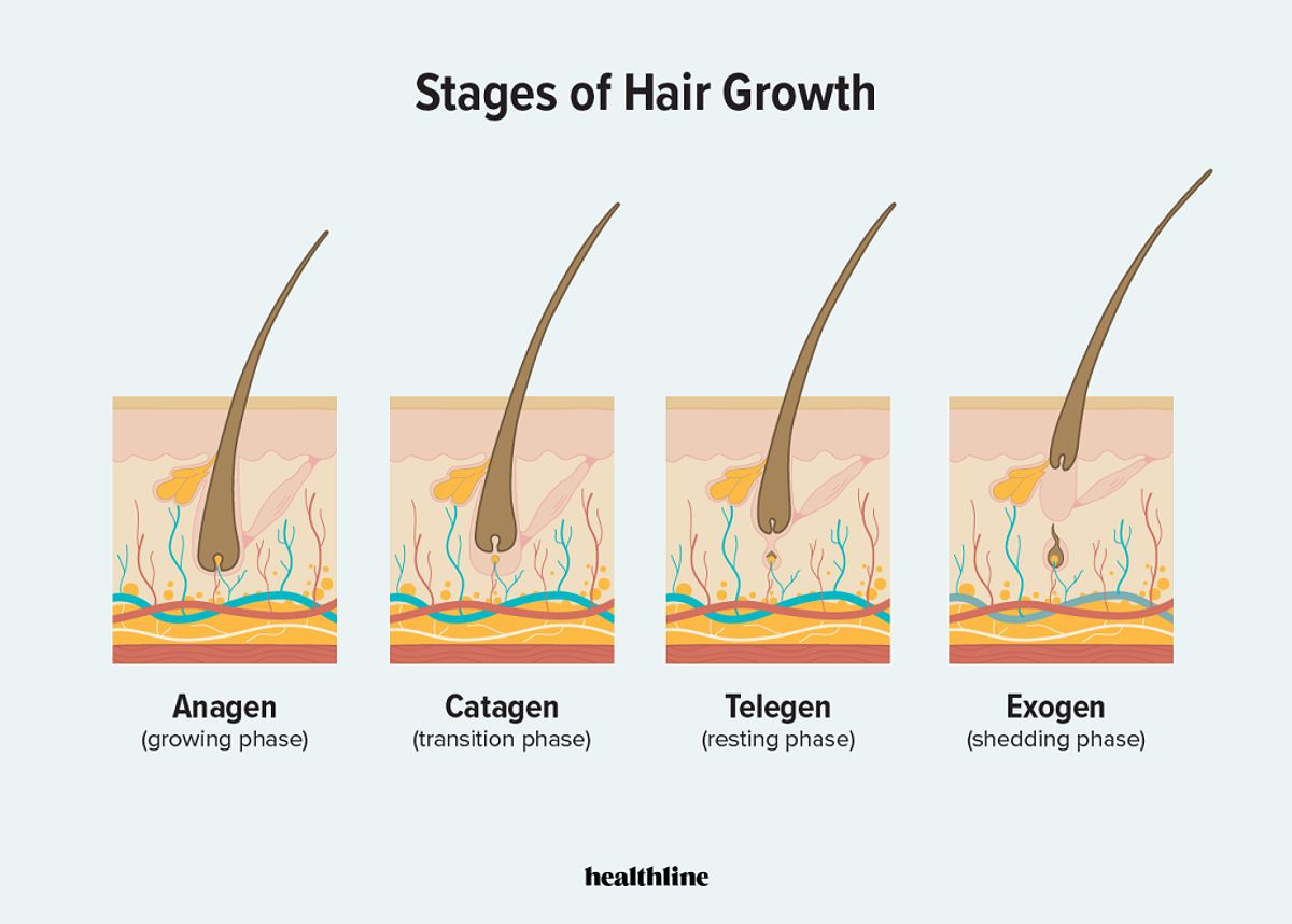 Minoxidil: Công dụng, cách sử dụng và hiệu quả - -132356740