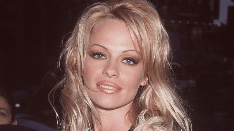 Phong cách trang điểm Pamela Anderson những năm 90: Cách làm chân mày lá liễu và trang điểm mắt đậm - 246752408